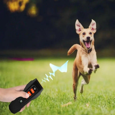 anti aboiement chien champs avec ultrason entrainement