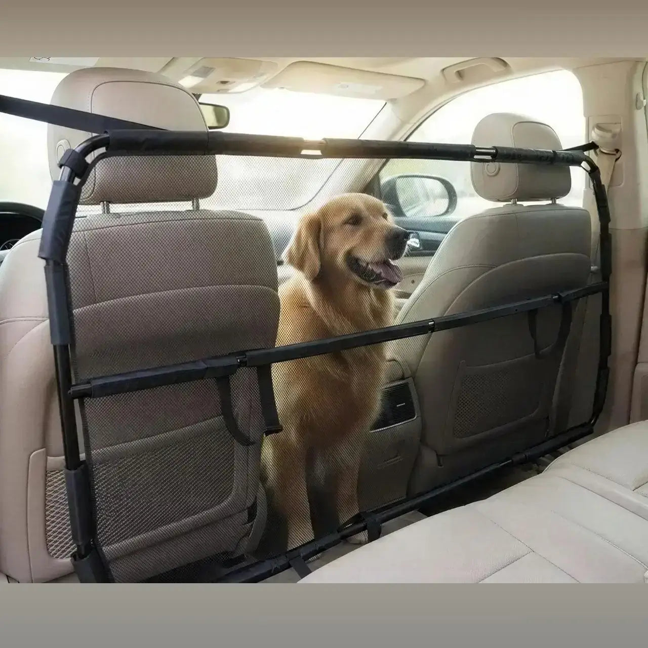 Un labrador derrière la barrière pour chien pour voiture.