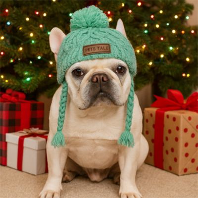 bonnet pour chien couleur vert