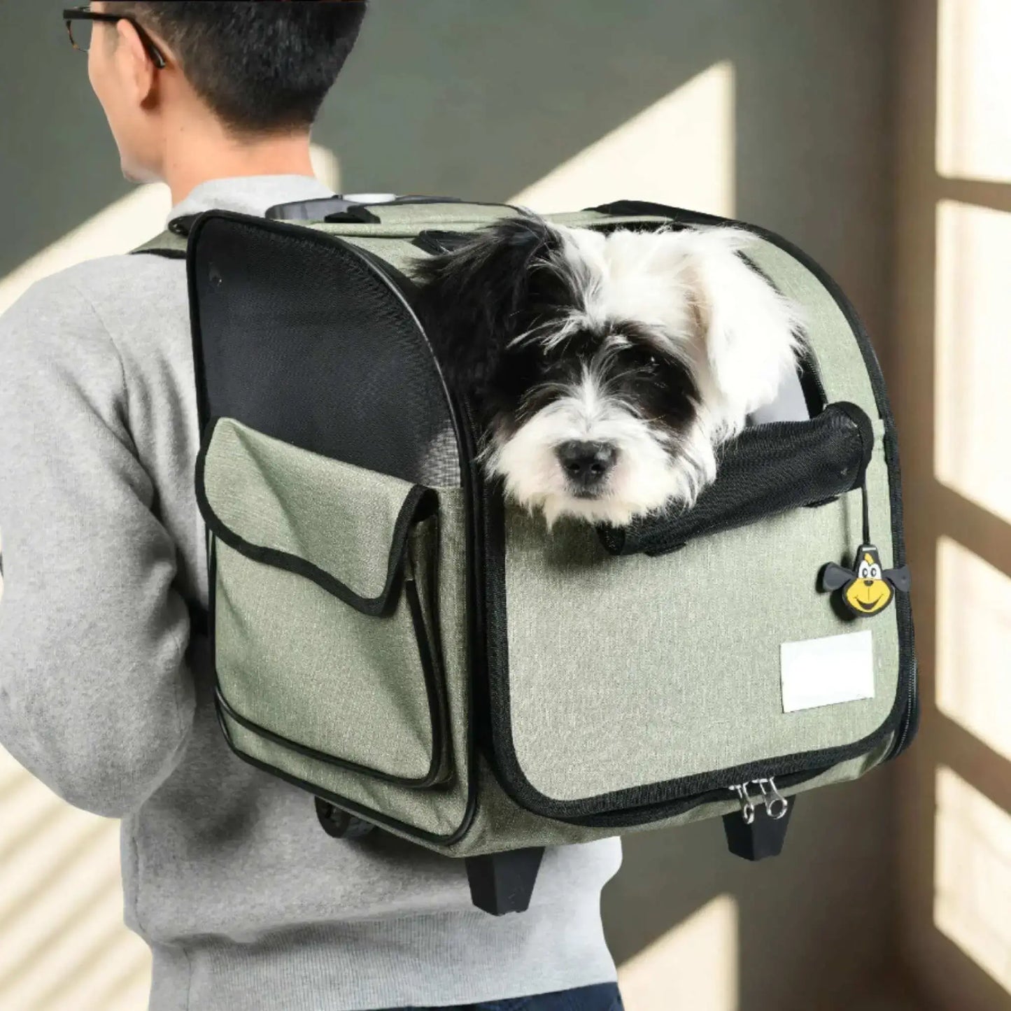 Le chariot chien est porté par un homme en sac à dos vert avec un bichon blanc.