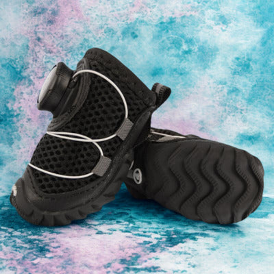 chaussure chien couleur noir