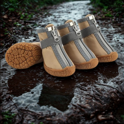 chaussure chien jaune terre flaque boueux