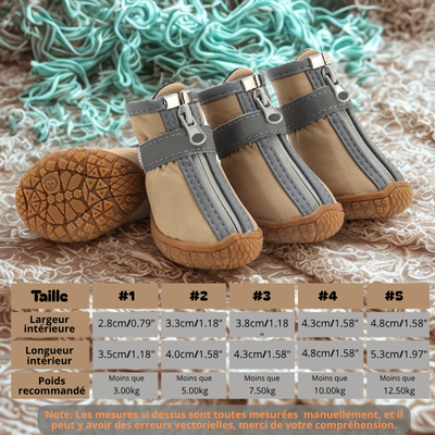 chaussure chien jaune terre tableau grandeur