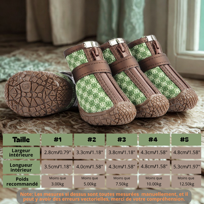 chaussure chien vert motif tableau grandeur