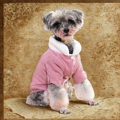 chien manteau schnauzer manteau rose decor rustique