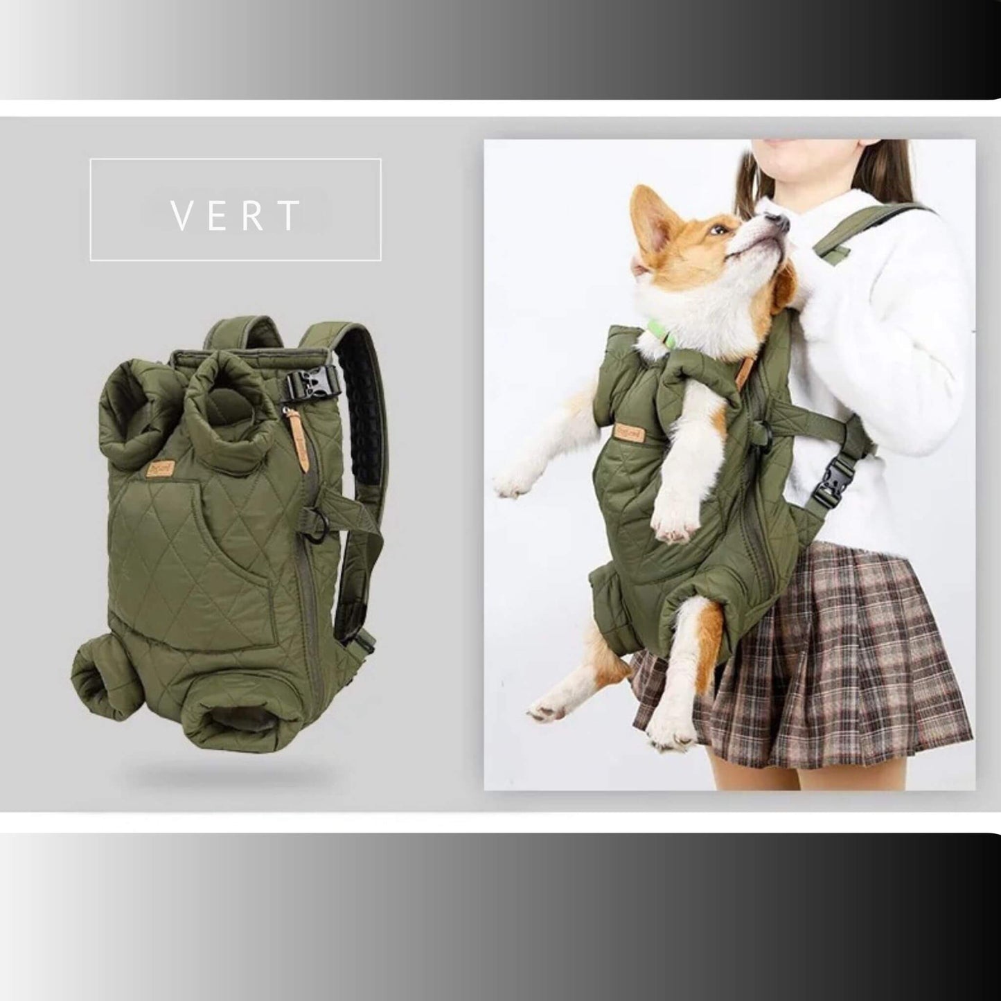 Fille vue de face avec un sac à dos vert et un corgi à l'intérieur