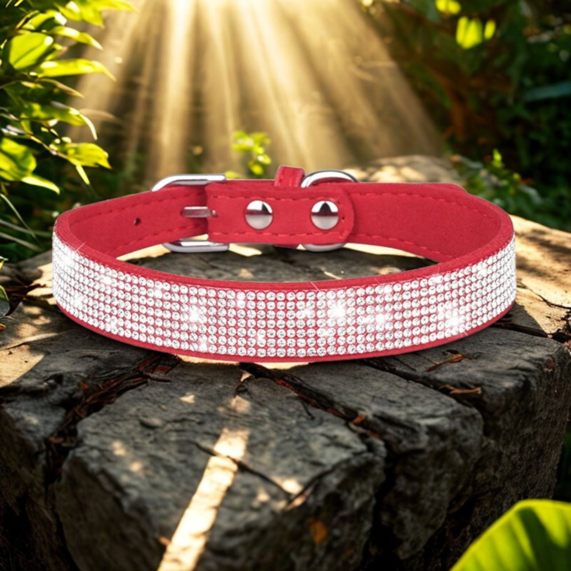 chiot collier couleur rouge strass rayon soleil roche