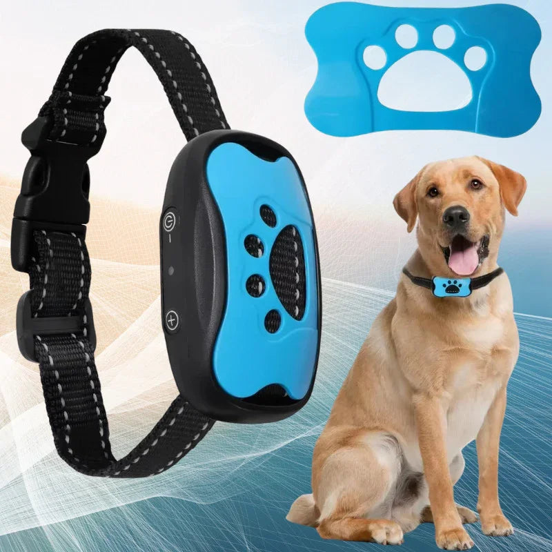 collie anti aboiement couleur bleu