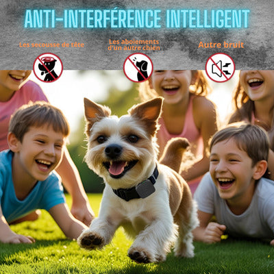 collier anti aboiement anti interference intelligent chien joue enfant