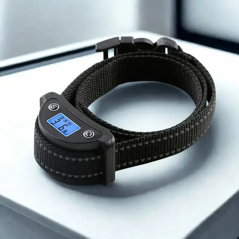 Un collier anti-aboiement pour chien noir.