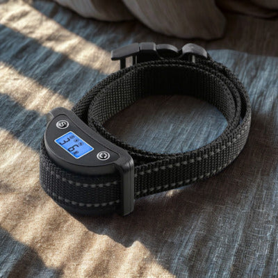 collier anti aboiement collier noir