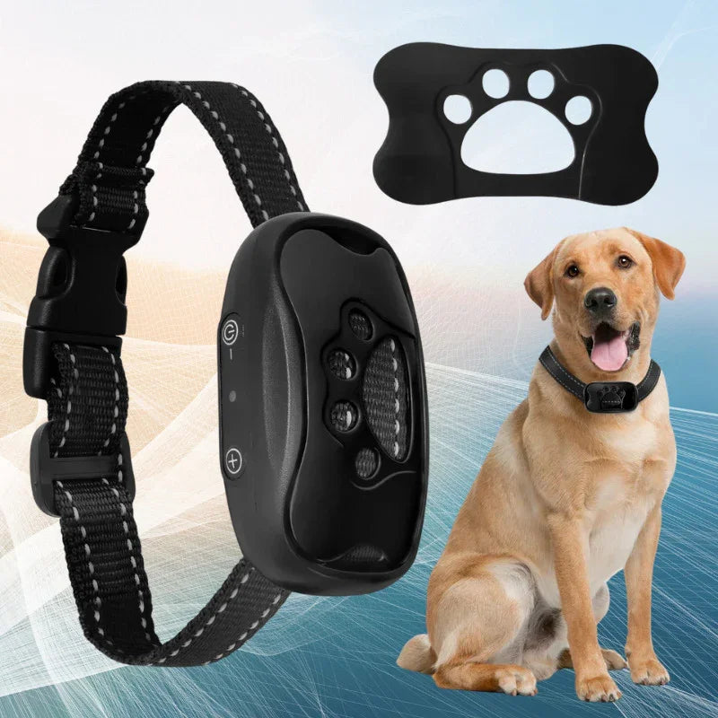 collier anti aboiement couleur noir