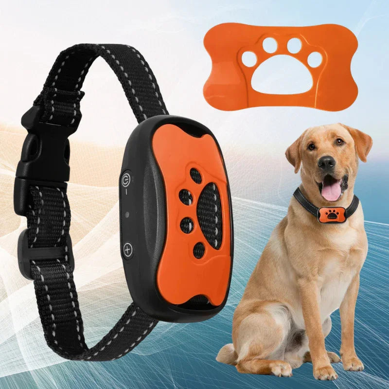 collier anti aboiement couleur orange