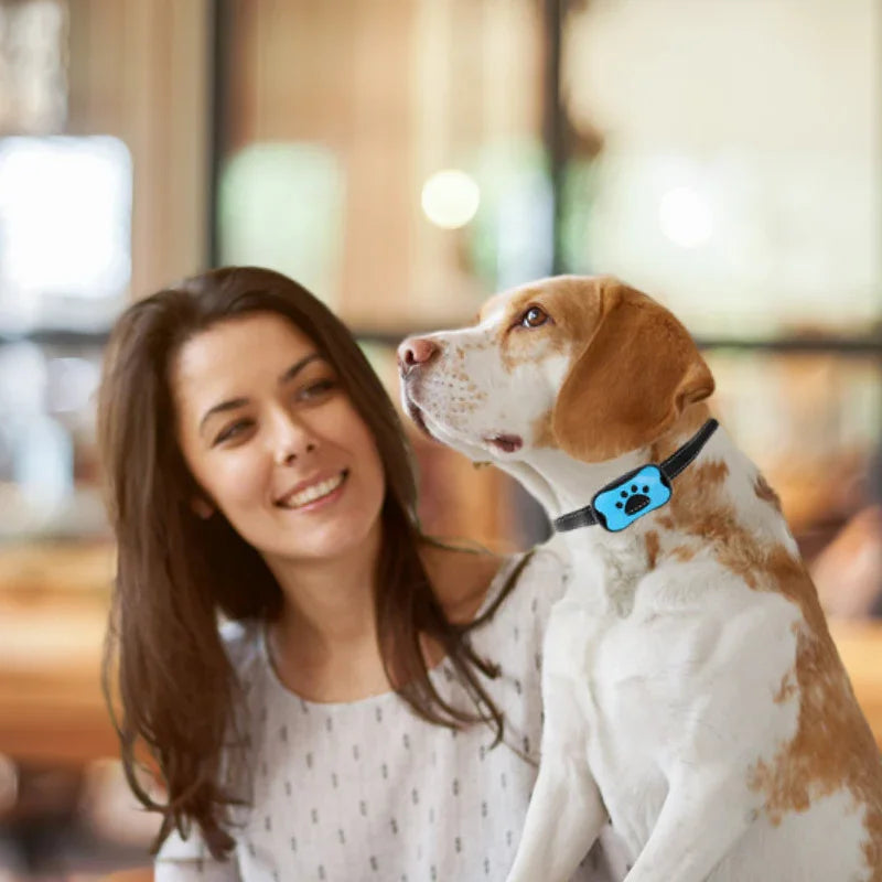collier anti aboiement femme avec chien avec collier