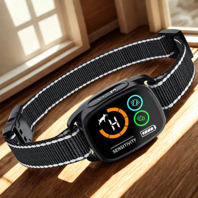 collier anti aboiement plancher avec rayon soleil