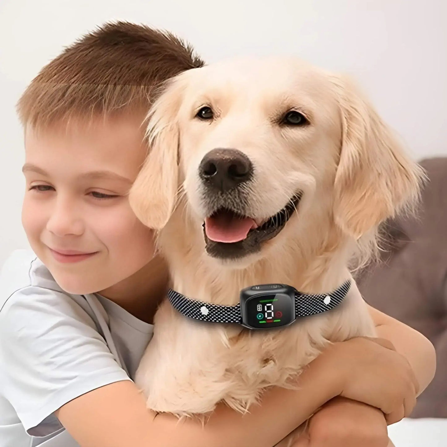 Un garçon enlace son golden retriever qui porte le collier anti-aboiement pour chien noir.
