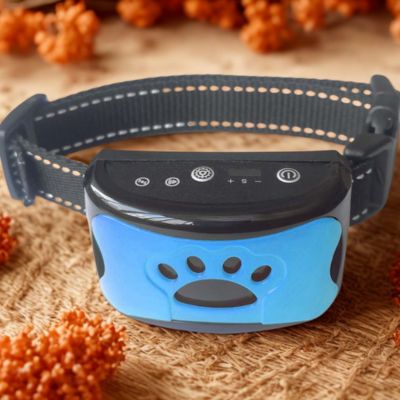 collier anti aboiements couleur bleu