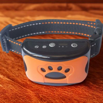 collier anti aboiements couleur orange