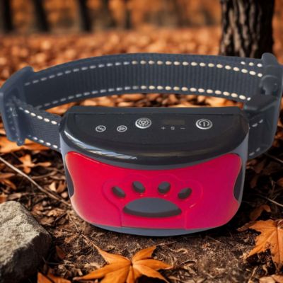 collier anti aboiements couleur rouge