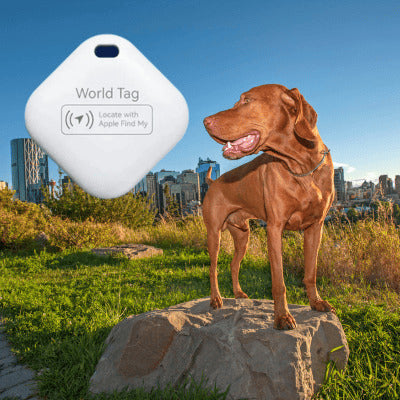 collier anti fugue chien dispositif apple dogue bordeau ville roche