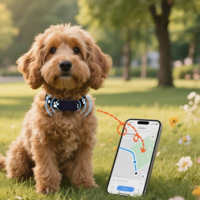 collier anti fugue pour chien chien champs telephone tracable