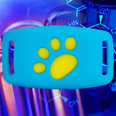 collier anti fugue pour chien couleur bleu