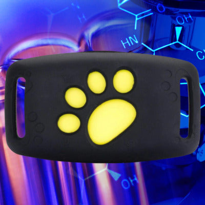 collier anti fugue pour chien couleur noir