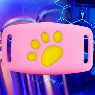 collier anti fugue pour chien couleur rose