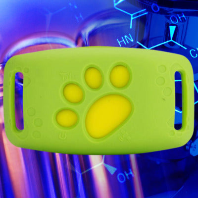 collier anti fugue pour chien couleur vert fluo