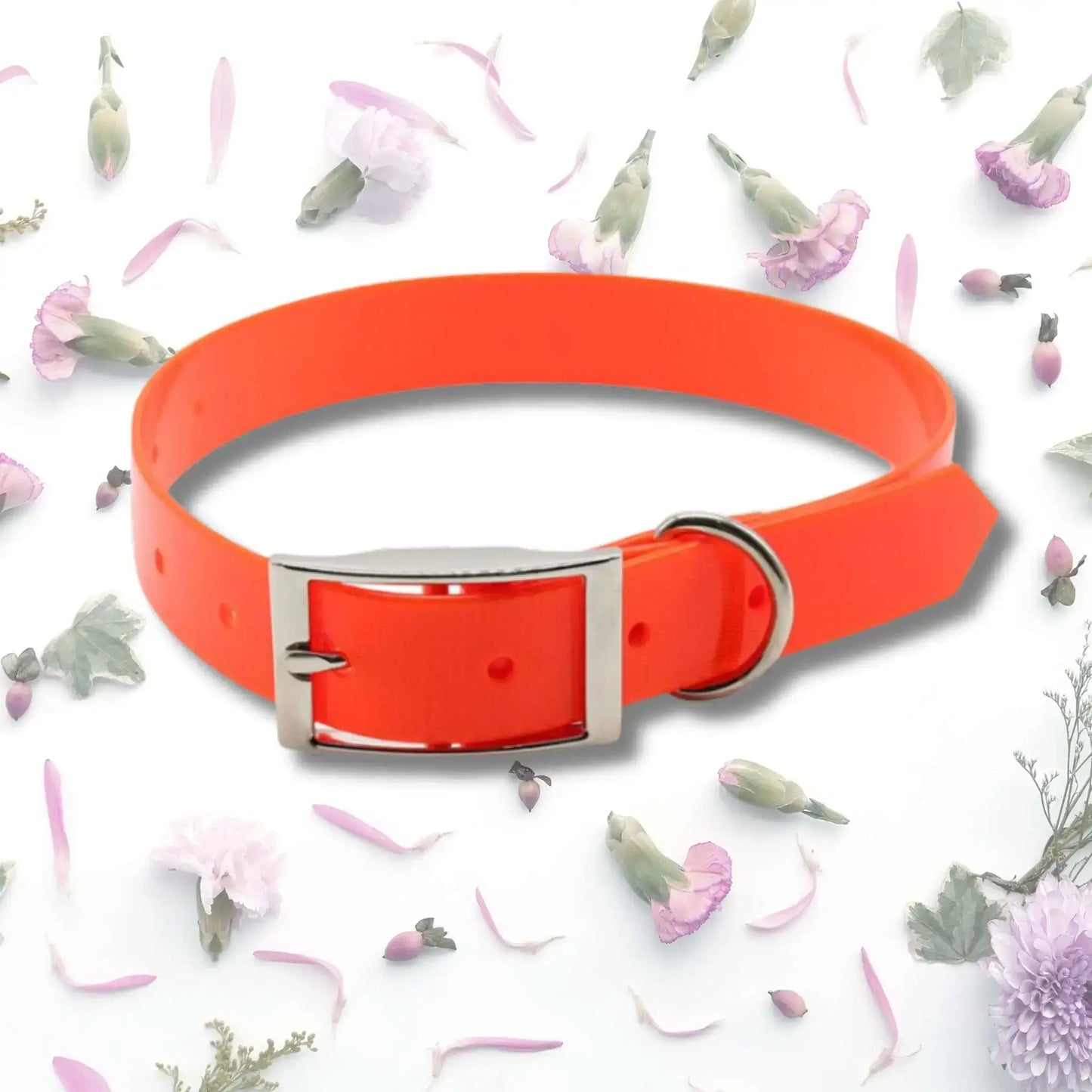 Un collier pour chien de couleur orange fluo en PVC.