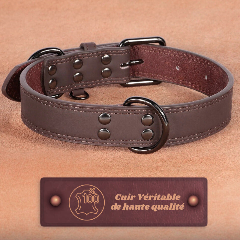 collier chien cuir brun