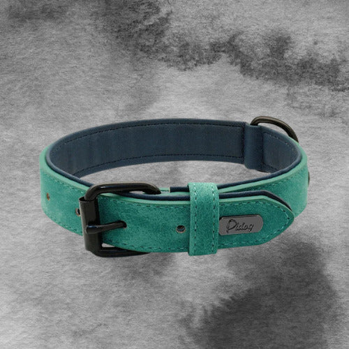 collier chien cuir pu couleur vert