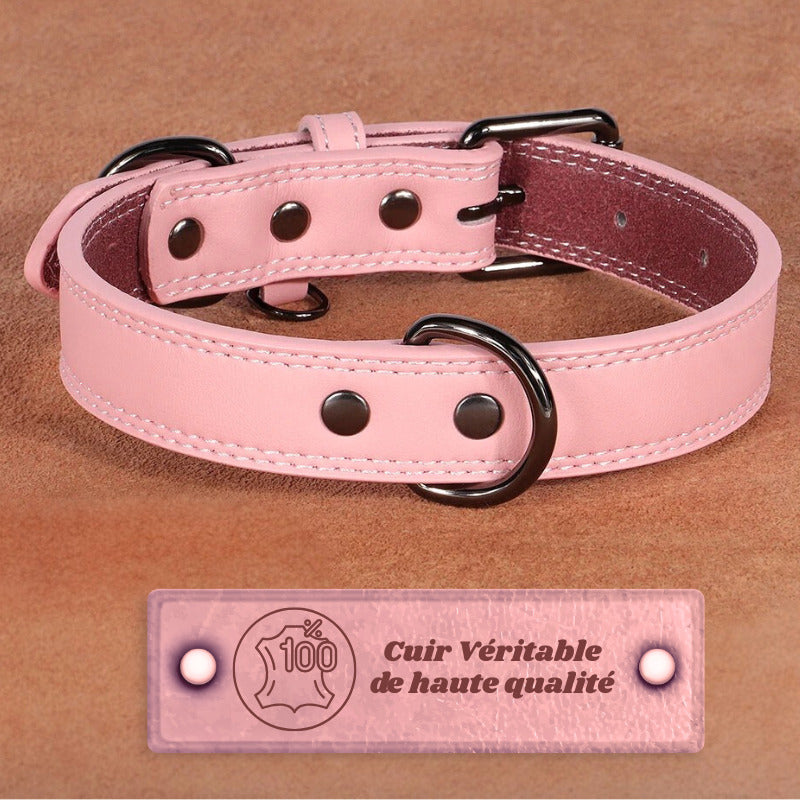 collier chien cuir rose
