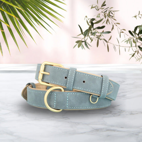 collier chien cuir suede bleu pale