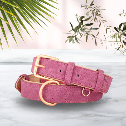 collier chien cuir suede rose