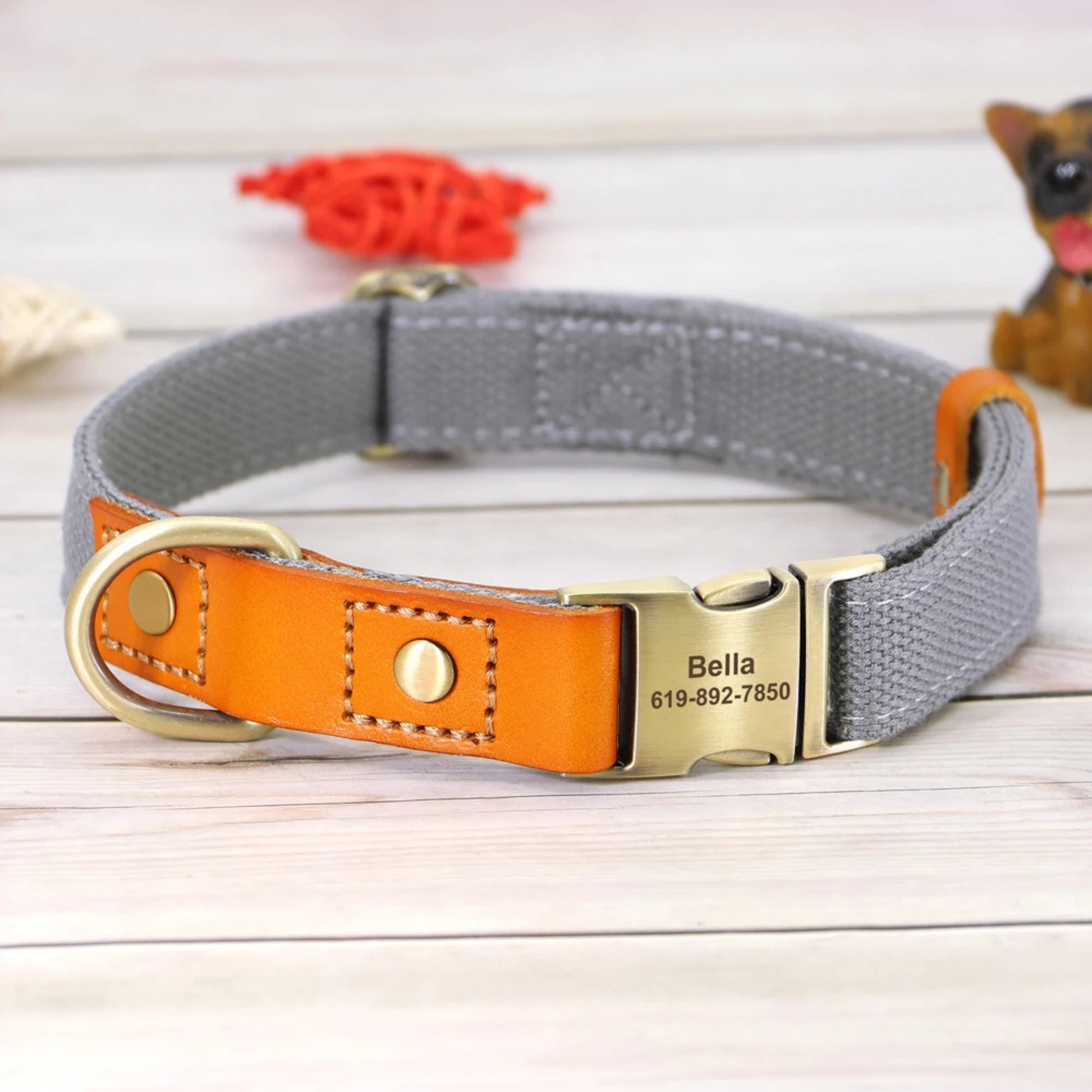 collier chien personnalise colurbain-couleur gris