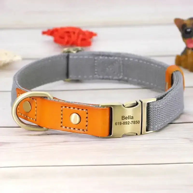 Un collier pour chien personnalisé de couleur gris.