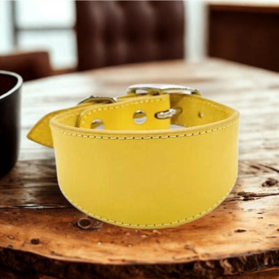 collier chien table bois collier jaune