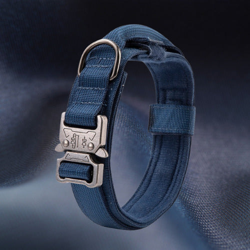 collier chien tactique bleu