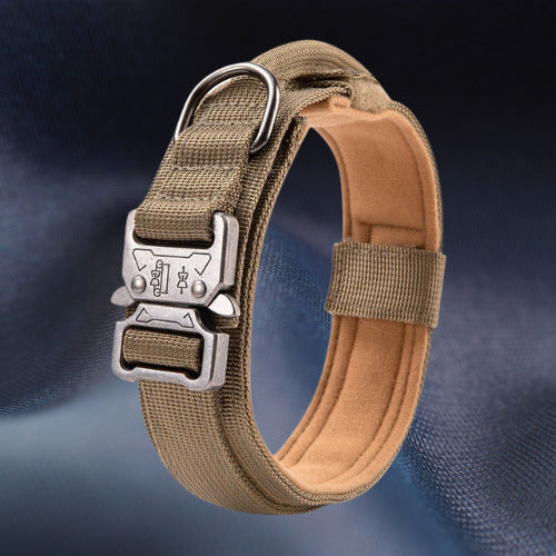 collier chien tactique brun coyotte