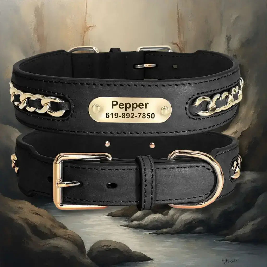 Un collier en cuir pour chien de couleur noire.