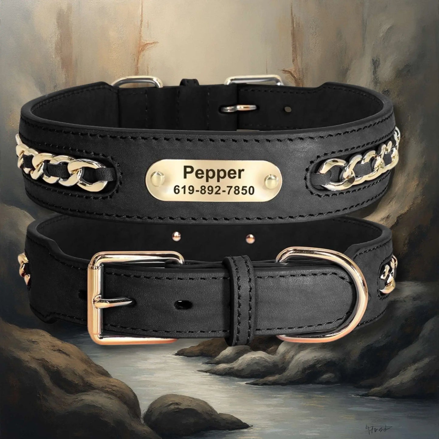 Un collier en cuir pour chien de couleur noir.