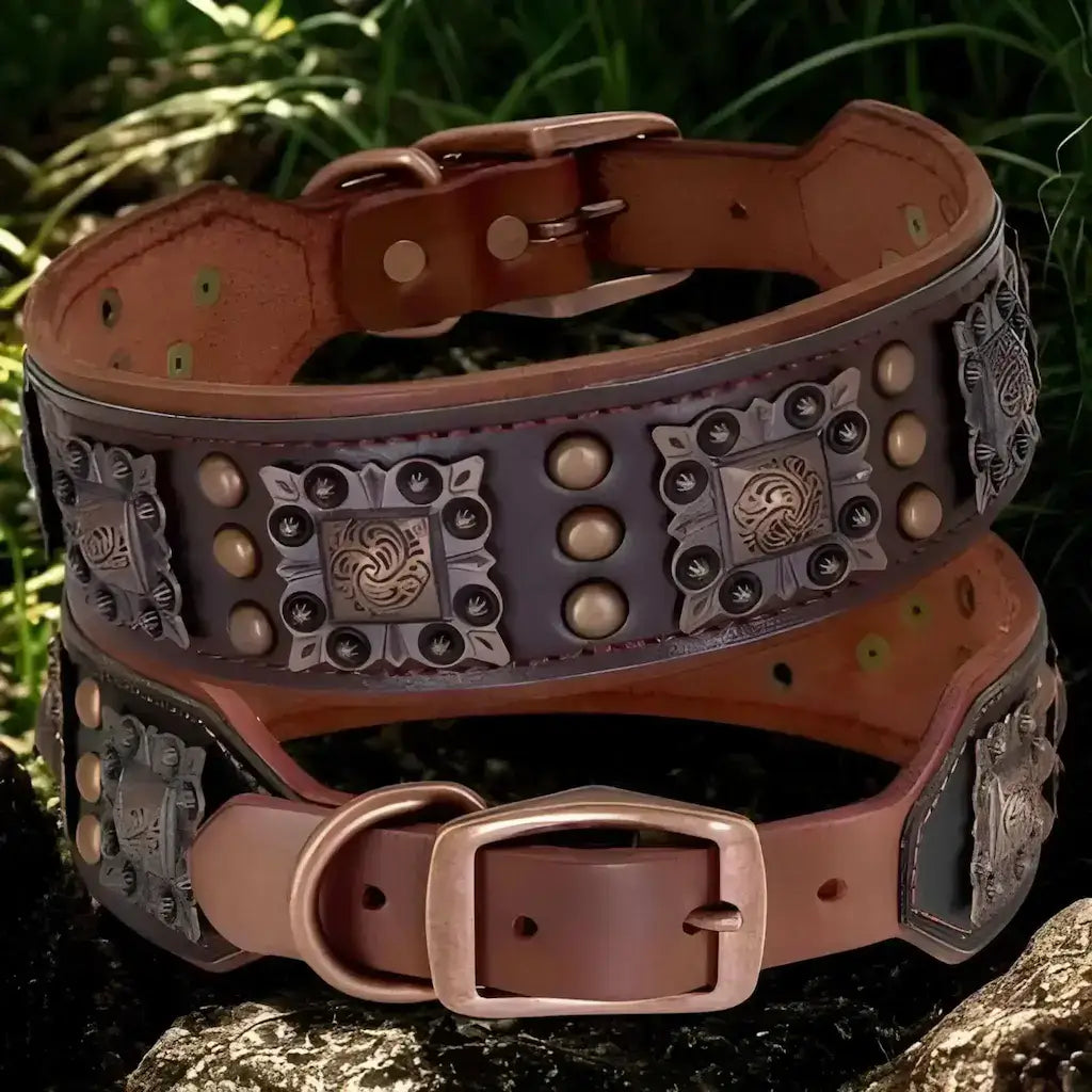 Un collier en cuir pour chien avec ornement de couleur marron.