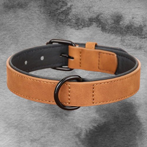 Collier chien | Fidélo™️ - Jolianimaux