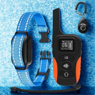 collier de dressage chien collier couleur bleu