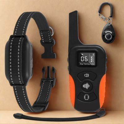 collier de dressage chien collier noir couleur