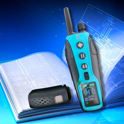 collier de dressage pour chien couleur bleu