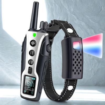 collier de dressage pour chien couleur gris