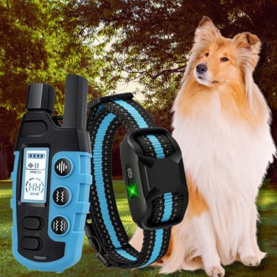 collier de dressage pour chien telecommande collier bleu