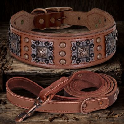 collier en cuir pour chien laisse assorti couleur brun